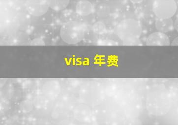 visa 年费